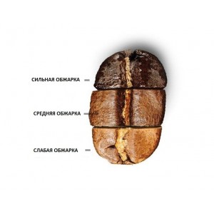 Степени обжарки кофе Степени обжарки кофе